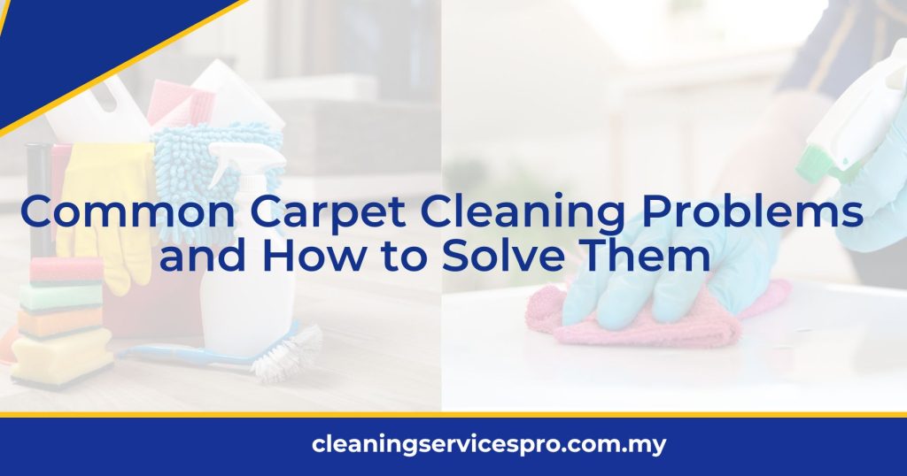 Common Carpet Cleaning Problems and How to Solve Them [2024]