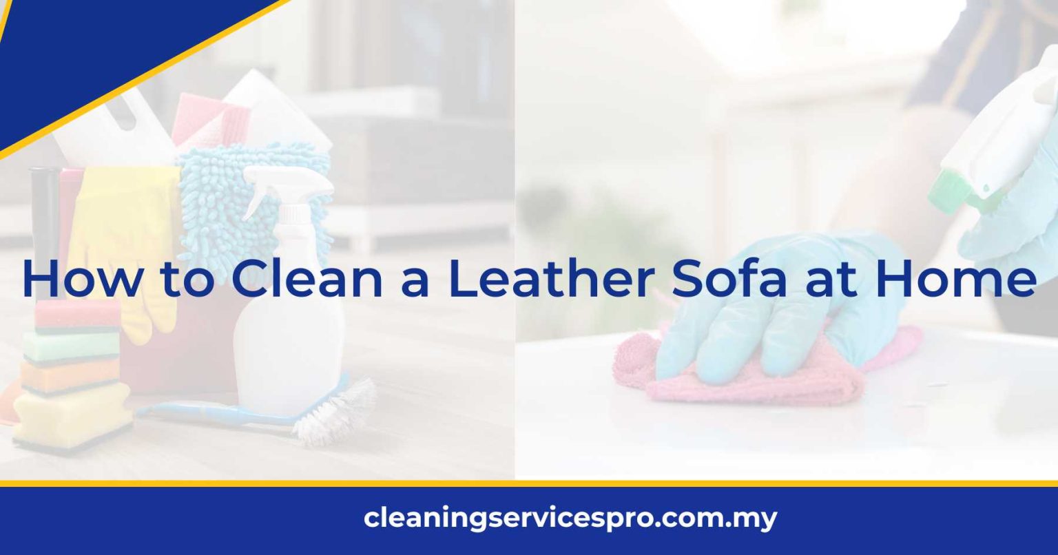 How to Clean a Leather Sofa at Home [2024]