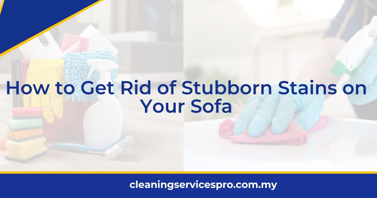 How to Get Rid of Stubborn Stains on Your Sofa [2024]