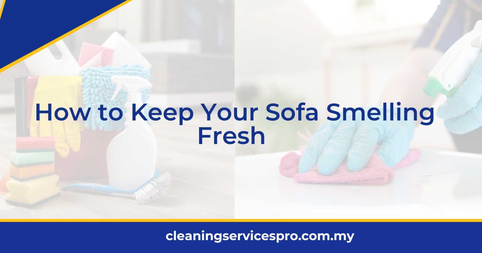 How to Keep Your Sofa Smelling Fresh [2024]