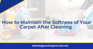 How to Maintain the Softness of Your Carpet After Cleaning