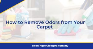 How to Remove Odors from Your Carpet