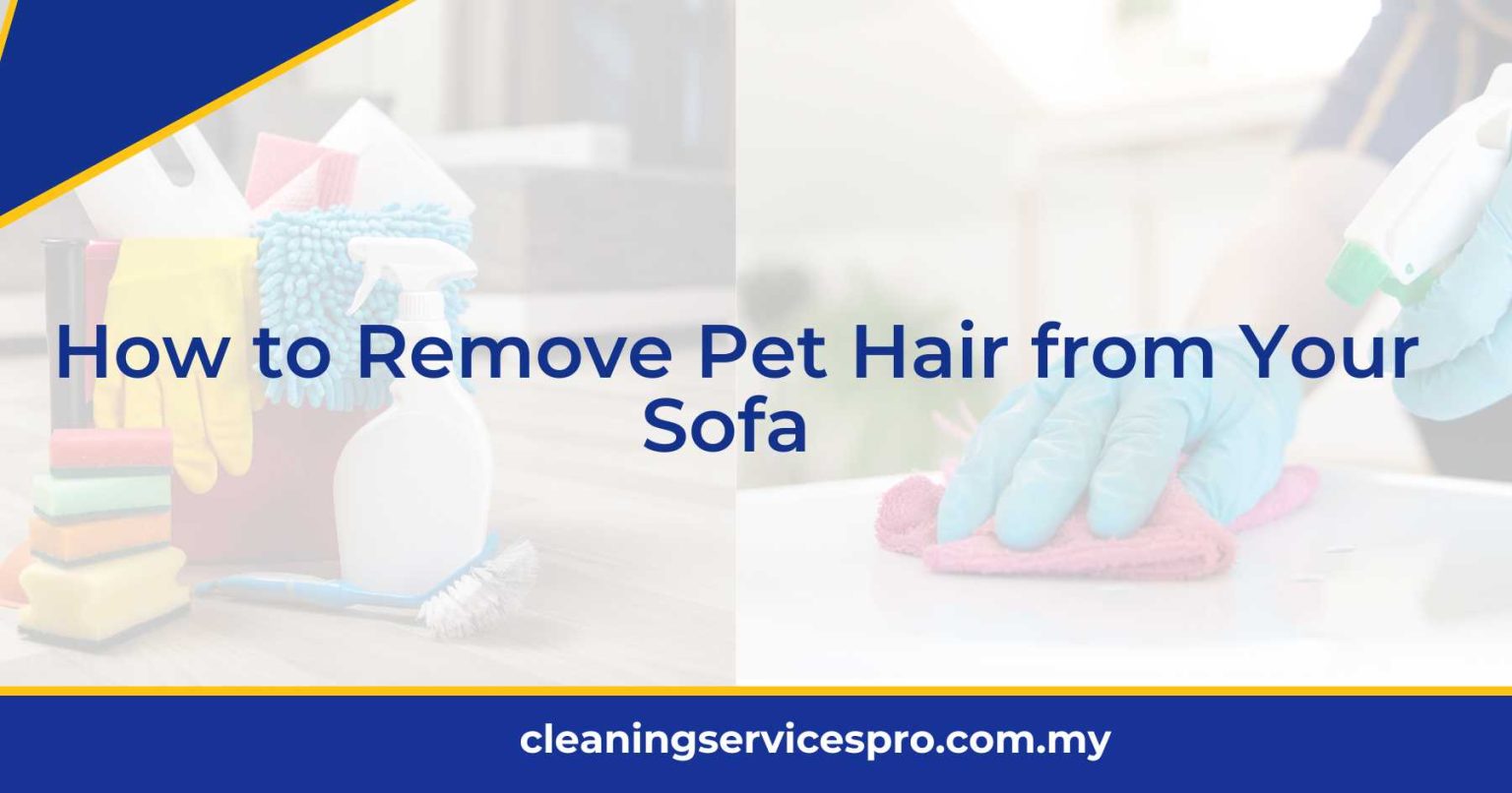 How to Remove Pet Hair from Your Sofa [2024]