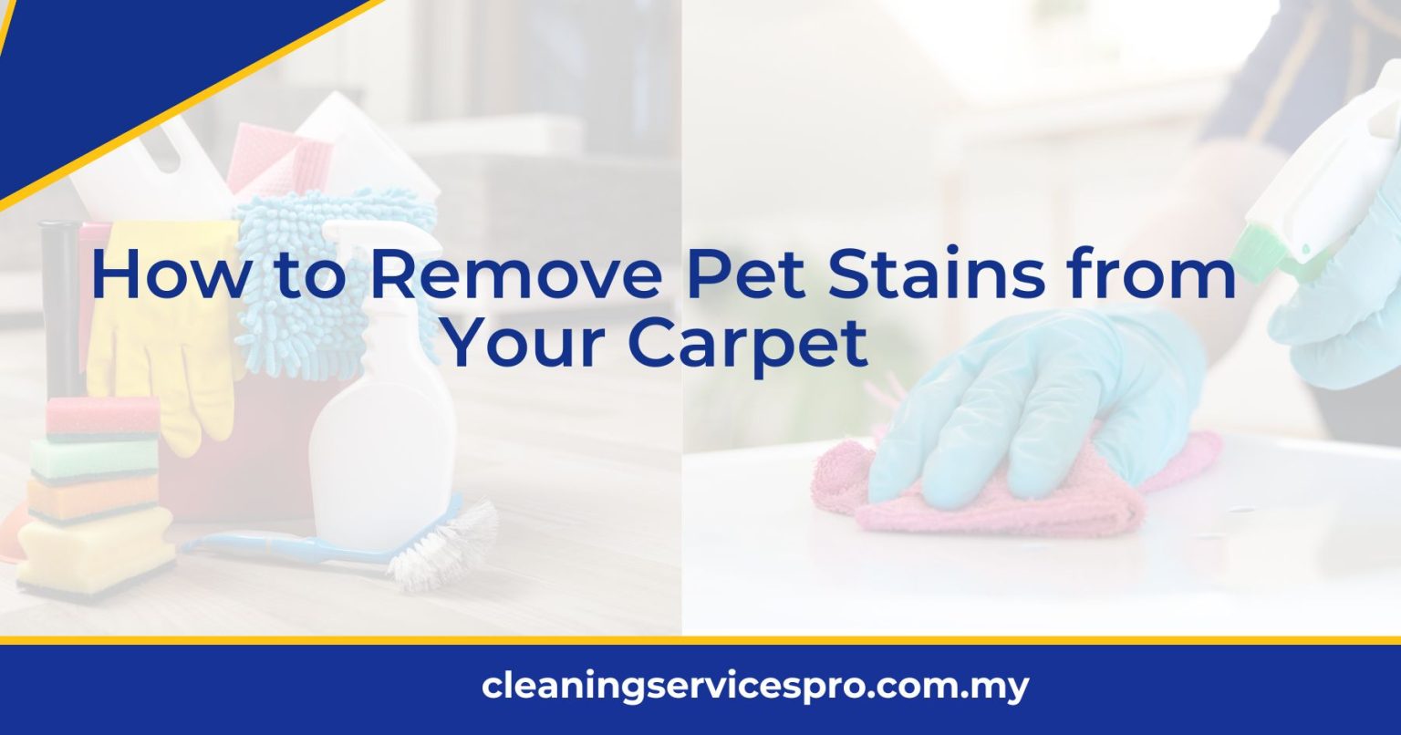 How to Remove Pet Stains from Your Carpet [2024]