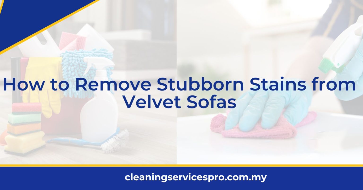 How to Remove Stubborn Stains from Velvet Sofas [2024]