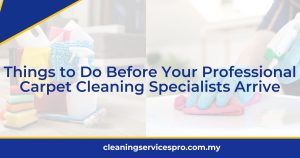 Things to Do Before Your Professional Carpet Cleaning Specialists Arrive
