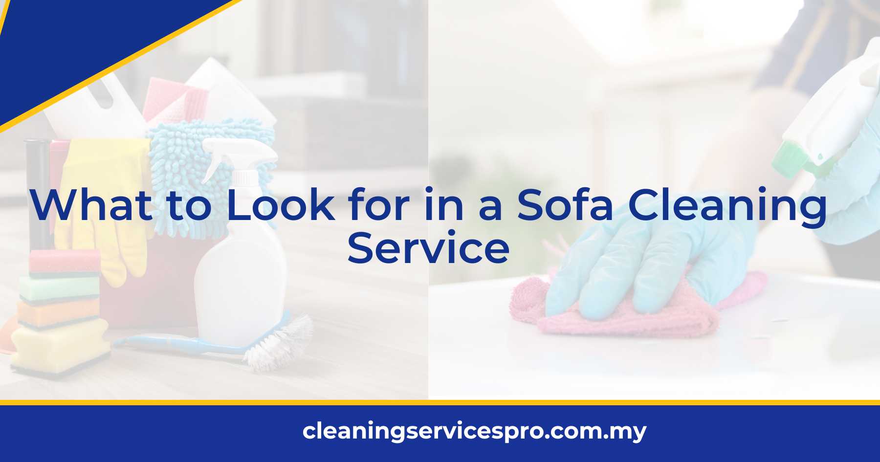 What to Look for in a Sofa Cleaning Service